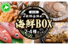 [5525-0785]北海道 伊達　噴火湾 水揚げ 今野水産 新鮮 活締め 海鮮 BOX 2～4種セット