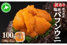 [5525-0811]訳あり 北海道 噴火湾産 塩水 バフンウニ 100g 1パック うに ウニ 雲丹 海鮮 海の幸 魚介類 ウニ丼 お寿司 濃厚 無添加 産地直送 お取り寄せ 山村水産 送料無料