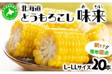 [5525-0823] 先行予約 【 2025年 発送 】北海道産 とうもろこし 味来 L～LLサイズ 20本入り トウモロコシ みらい ミライ とうきび スイート イエロー コーン 旬 新鮮 朝もぎ 農作物 甘い お取り寄せ 産地直送 送料無料