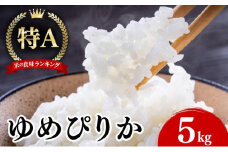 1月発送 令和7年産 ゆめぴりか 5kg 精米 特A ブランド米 お米 うるち米 白 ごはん 炊き立て もちもち 備蓄 保存 ギフト 贈り物 人気 北海道産 お取り寄せ 農園 産地直送 takke farm 送料無料 北海道