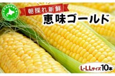[5525-0828]先行予約 【 2025年 発送 】北海道 朝もぎ とうもろこし 恵味 ゴールド L-LLサイズ 10本 スイート コーン トウモロコシ とうきび 旬 完熟 野菜 採れたて 朝採り 甘い めぐみ 産地直送 道産 送料無料