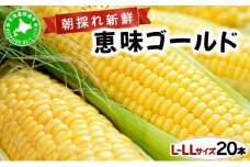 [5525-0829]先行予約 【 2025年 発送 】北海道 朝もぎ とうもろこし 恵味 ゴールド L-LLサイズ 20本 スイート コーン トウモロコシ とうきび 旬 完熟 野菜 採れたて 朝採り 甘い めぐみ 産地直送 道産 送料無料