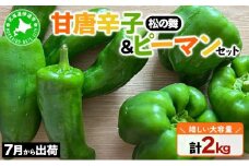 [5525-0833]北海道 伊達 大滝農園 甘唐辛子「松の舞」 ピーマン セット 計約2kg 野菜
