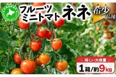 [5525-0836] 北海道産 ミニトマト ネネ 約9kg フルーツトマト 幻の 高糖度 ジューシー プチ トマト 甘い 濃厚 彩り 鮮やか 希少 お中元 お歳暮 暑中見舞い 帰省土産 ご自宅用 産地直送 大滝農園 送料無料 北海道 伊達