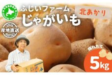 [5525-0842]北海道産 じゃがいも 北あかり 約5kg  ジャガイモ 馬鈴薯 ポテト 芋 イモ きたあかり キタアカリ 栗じゃがいも 先行受付 産地直送 野菜 農作物 ホクホク じゃがバター コロッケ 人気 ふじいファーム  送料無料