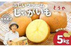 [5525-0843]北海道産 じゃがいも とうや 約5kg ジャガイモ 馬鈴薯 ポテト 芋 イモ 先行受付 産地直送 国産 野菜 農作物 甘い ホクホク しっとり 煮物 カレー 肉じゃが 人気 ふじいファーム  送料無料
