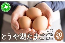 [5525-0908]北海道 伊達市 とうや湖 卵 鉄  20個 入り たまご