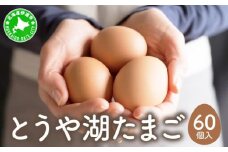 [5525-0911]北海道 伊達市 とうや湖 卵  60個 入り たまご