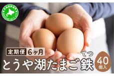 [5525-0922]【6ヵ月 定期便】 北海道 伊達市 とうや湖 卵 鉄  40個 入り たまご