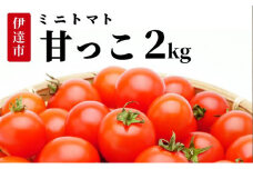 [5525-0939]北海道伊達産 ミニトマト 甘っこ 2kg とまと 甘い 野菜 やさい 人気 新鮮 産地直送 農家直送 先行受付