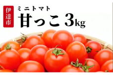 [5525-0940]北海道伊達産 ミニトマト 甘っこ 3kg とまと 甘い 野菜 やさい 人気 新鮮 産地直送 農家直送 先行受付