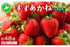 [5525-0945]2025年 発送 先行 予約 北海道 伊達市 いちご すずあかね Lサイズ 24個入り 2トレー 48個 苺 イチゴ スイーツ デザート 果物 甘い 赤 鮮やか 新鮮 ケーキ お菓子作り