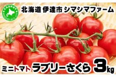 [5525-0961]【 2025年 発送 】 先行予約 北海道 伊達市 ミニトマト ラブリーさくら 3kg 【オンライン決済限定】