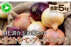 [5525-1005]【 2025年 発送 】 先行予約 北海道 玉ねぎ 各2.5kg 計 約 5kg M-L混合 北はやて アーリーレッド タマネギ たまねぎ 玉葱 玉ネギ レッドオニオン オニオン 伊達野菜  野菜 新鮮 採れたて 産地直送 木須農園 送料無料