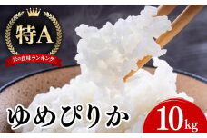 11月発送 令和7年産 新米 ゆめぴりか 10kg 精米 特A ブランド米 お米 うるち米 白 ごはん 炊き立て もちもち 備蓄 保存 ギフト 贈り物 人気 北海道産 お取り寄せ 農園 産地直送 takke farm 送料無料 北海道