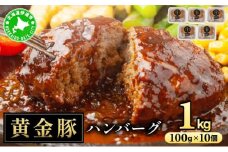 [5525-1092]北海道 伊達 黄金豚 ハンバーグ 100g×10個（計1kg） 小分け 真空 お肉 豚肉