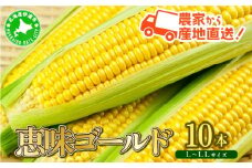 [5525-1110]やまけんや とうもろこし 恵味ゴールド 10本 スイートコーン コーン 甘い サラダ スープ 生でも美味しい 産地直送 BBQ とうきび 国産 人気 バーベキュー 焼きとうもろこし 取り寄せ 糖度 北海道 伊達市