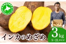 [5525-1112]やまけんや じゃがいも インカのめざめ 3kg S～2Lサイズ サイズ混合 馬鈴薯 芋 いも イモ ポテト 甘い 旬 農作物 野菜 ほくほく ホクホク 国産 お取り寄せ 常温 送料無料 北海道 伊達市