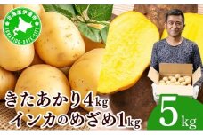 [5525-1113]やまけんや じゃがいも 2種 計5kg きたあかり インカのめざめ ジャガイモ いも イモ 芋 ほくほく ホクホク 甘い アレンジ 国産 産地直送 馬鈴薯 野菜 やさい 北あかり 送料無料 北海道 伊達市