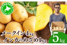 [5525-1114]やまけんや じゃがいも 2種 計5kg メークイン インカのめざめ いも 芋 イモ ジャガイモ  馬鈴薯  甘い 旬 農作物 野菜 ほくほく ホクホク クリーミー なめらか 国産 お取り寄せ 常温 送料無料 北海道 伊達市