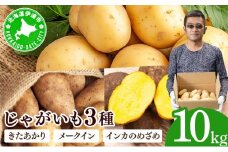 [5525-1115]やまけんや じゃがいも 3種 計10kg きたあかり 北あかり メークイン インカのめざめ いも 芋 イモ ジャガイモ  馬鈴薯  甘い 旬 農作物 野菜 ほくほく ホクホク クリーミー 国産 お取り寄せ 常温 送料無料 北海道 伊達市