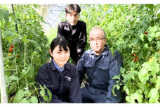 [5525-1181]のぐち北湯沢ファームの年5回 定期便 グリーンアスパラ とうもろこし2種 野菜詰め合わせ やまいも ギフトセット
