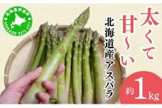 [5525-1208]太くてあまーい 北海道産 春芽 アスパラ (約1kg／LL以上中心＋L混合 ) 先行予約 新鮮 採れたて直送 旬 野菜 あすぱら 農家直送 北海道