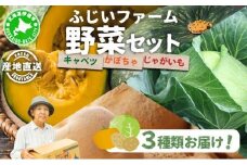 キャベツ2玉 かぼちゃ(訳あり)2玉 じゃがいも800g セット