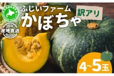 【訳あり】かぼちゃ4～5玉