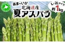 あまーい！北海道産夏アスパラ 1kg