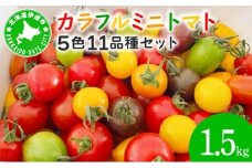 カラフルミニトマトセット1.5kg
