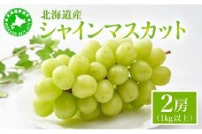 シャインマスカット 2房（1kg以上）化粧箱入り