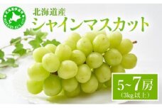 シャインマスカット ５～7房（３kg以上）箱