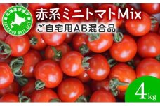 赤系ミニトマトMix（たっぷり４kg）
