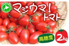 【2026年先行予約】北海道 伊達 岡本園芸 ミニトマト 高糖度 約2kg【マジウマ！トマト】