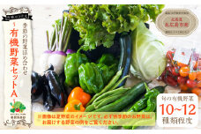 【有機JAS認定】季節の野菜 詰め合わせ 10種類～12種類程度 有機野菜セットA 北海道北広島市