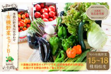 【有機JAS認定】季節の野菜 詰め合わせ 15種類～18種類程度 ～有機野菜セットB～ 北海道北広島市