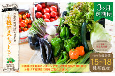 【3ヶ月定期便】有機JAS認定 季節の野菜 詰め合わせ～有機野菜セットB～ 北海道北広島市
