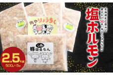 塩ホルモン 2.5kg（500g×5袋）ホルモン焼 焼肉 バーベキュー 北海道北広島市
