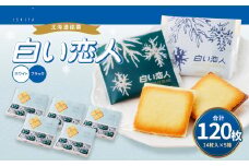 白い恋人 (ホワイト&ブラック) 120枚(24枚入×5箱) ラングドシャ クッキー チョコ お菓子 おやつ 北海道 北広島市
