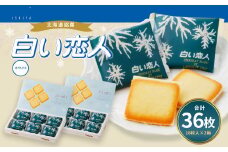白い恋人 (ホワイト) 36枚(18枚入×2箱) ラングドシャ クッキー チョコ お菓子 おやつ 北海道 北広島市