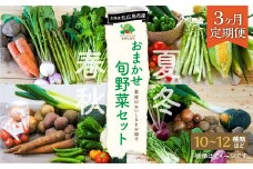 【3ヶ月定期便】おまかせ旬野菜セット 旬 野菜 セット 北海道 北広島市