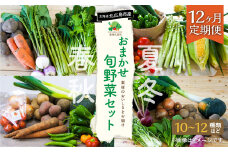 【12ヶ月定期便】 おまかせ旬野菜セット 旬 野菜 セット 北海道 北広島市