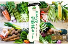 おまかせ旬野菜セット 旬 野菜 セット 北海道 北広島市