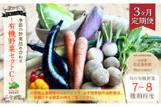 【3ヶ月定期便】有機JAS認定 季節の野菜詰め合わせ ～有機野菜セットC～ 