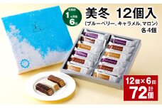 【1ヶ月毎6回定期便】美冬12個入（ブルーベリー、キャラメル、マロン）各4個