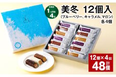 【1ヶ月4回定期便】美冬12個入（ブルーベリー、キャラメル、マロン）各4個