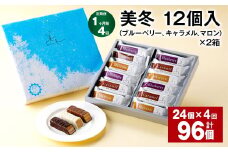  【1ヶ月毎4回定期便】美冬12個入（ブルーベリー、キャラメル、マロン）×2箱