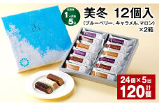  【1ヶ月毎5回定期便】美冬12個入（ブルーベリー、キャラメル、マロン）×2箱