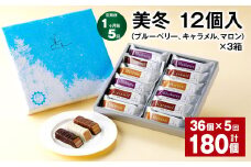 【1ヶ月毎5回定期便】美冬12個入（ブルーベリー、キャラメル、マロン）×3箱